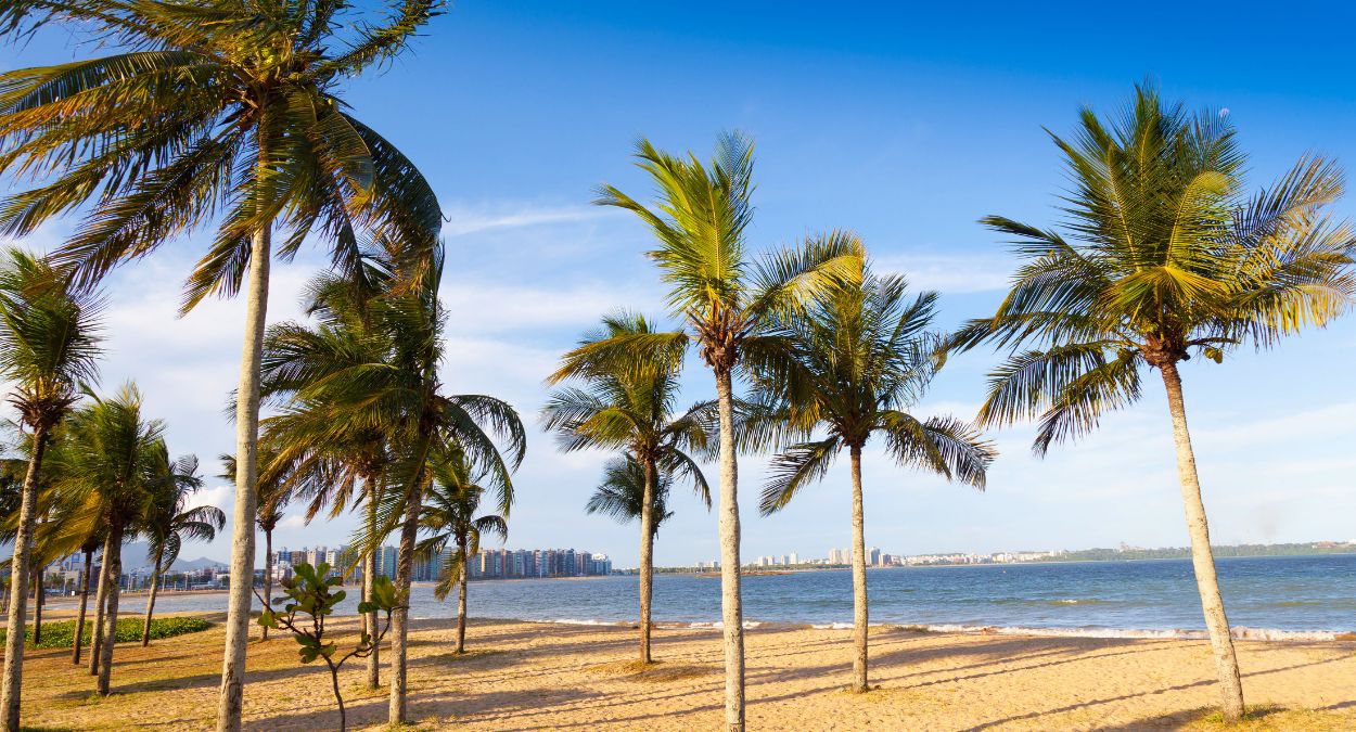 Vitória (imagem: Gian Luca FF - Getty Images via Canva)