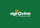 Agrovino 2026 em Bagé: Programação completa da maior feira de ovinos do verão