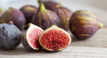 Festa do Figo de Nova Petrópolis chega à 51ª edição com programação intensa, gastronomia típica e atrações culturais