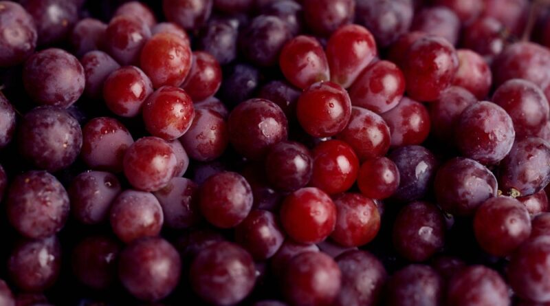 Uva (imagem: Getty Images via Canva)
