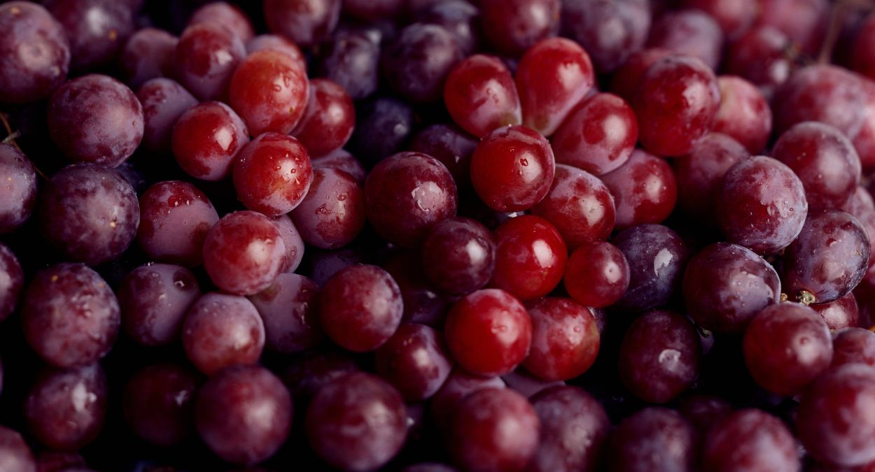 Uva (imagem: Getty Images via Canva)