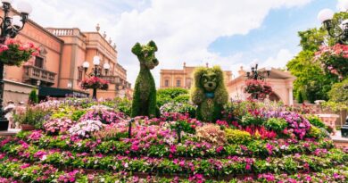 Epcot (imagem: Katie Brittle - Pexels)