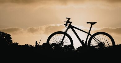 Bicicleta (imagem: Pop Andreea's Images - via Canva)