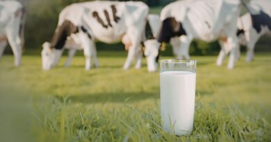 Leite (imagem Eugen Gheorghiu's Images via Canva)