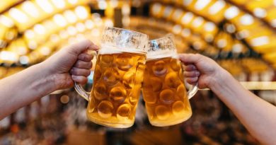 Oktoberfests no Brasil em 2026: Calendário completo com datas, cidades e atrações Oktoberfests no Brasil em 2026: Calendário completo com datas, cidades e atrações