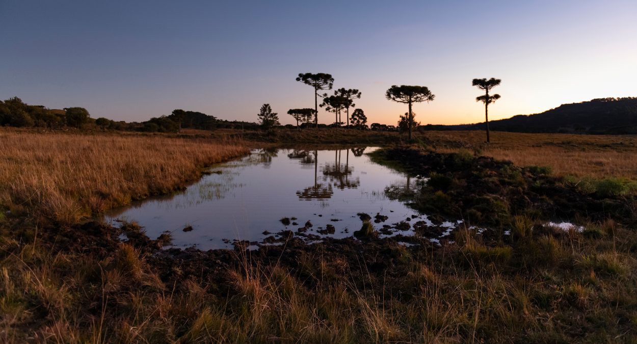 Santa Catarina (imagem: Global_Pics de Getty Images via Canva)