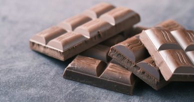 Festival do Chocolate 2026 terá entrada gratuita e atrações para toda a família Festival do Chocolate 2026 terá entrada gratuita e atrações para toda a família
