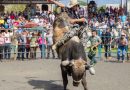 Festa do Peão de Barretos 2026 terá mais de R$ 1,5 milhão em prêmios no rodeio