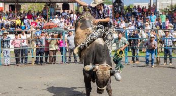 Festa do Peão de Barretos 2026 terá mais de R$ 1,5 milhão em prêmios no rodeio