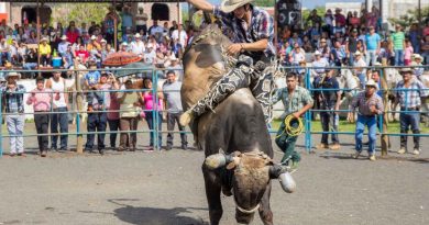Festa do Peão de Barretos 2026 terá mais de R$ 1,5 milhão em prêmios no rodeio