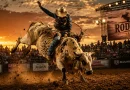 Taubaté Expo Rodeo 2026