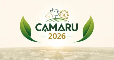 Cursos e Palestras Camaru 2026