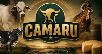 Camaru 2026 em Uberlândia terá agenda técnica de pecuária, gastronomia e cavalgada Atrações da programação técnica Camaru 2026