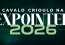 programação do cavalo crioulo na expointer 2026