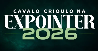 programação do cavalo crioulo na expointer 2026