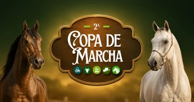Programação da Copa de Marcha 2026