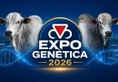 Atrações da ExpoGenética 2026