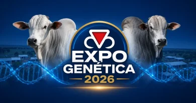 ExpoGenética 2026 em Uberaba terá feira de zebuínos, eventos técnicos e leilões Atrações da ExpoGenética 2026