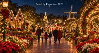 Natal by Expoflora 2026 em Holambra terá programação noturna e culinária holandesa