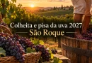 colheita e pisa da uva em são roque 2027