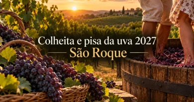 colheita e pisa da uva em são roque 2027