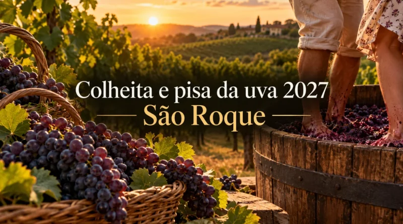 colheita e pisa da uva em são roque 2027
