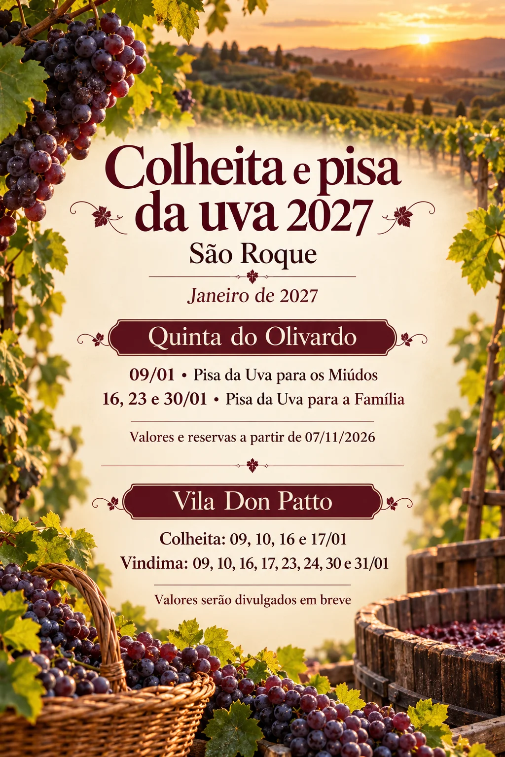 colheita-e-pisa-da-uva-sao-roque-2027