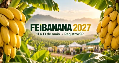 informações feibanana 2027