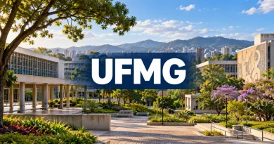informações seriado ufmg 2026